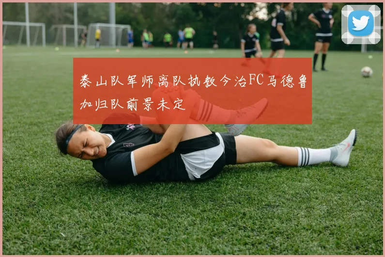 泰山队军师离队执教今治FC马德鲁加归队前景未定