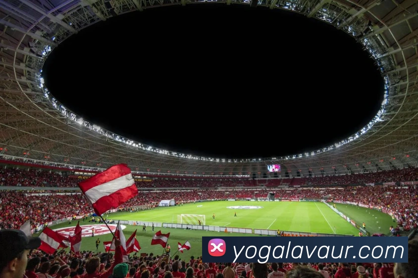 星空体育登录网址首页APP 封面图